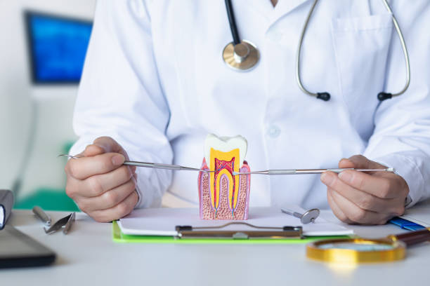 Best Broken Tooth Emergency  in Las Animas, CO